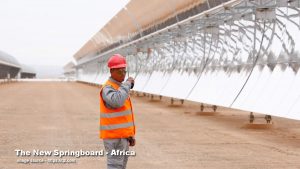 The New Springboard - Africa