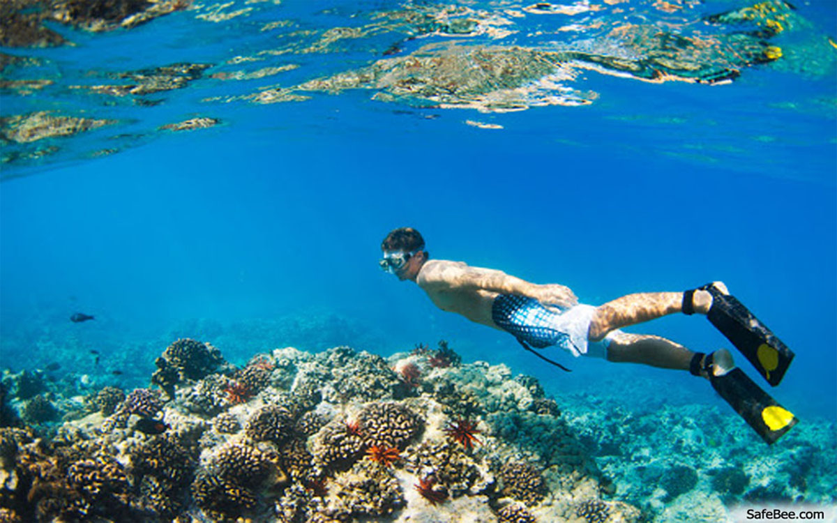 How to Stay Safe When Snorkeling