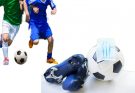 The A lot of Positive aspects of Outdoor Sports